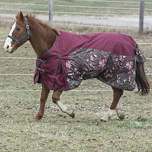 Load image into Gallery viewer, Tough-1 600D Camo Turnout Blanket