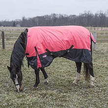 Load image into Gallery viewer, Tough-1 420 Denier Turnout Blanket 150g